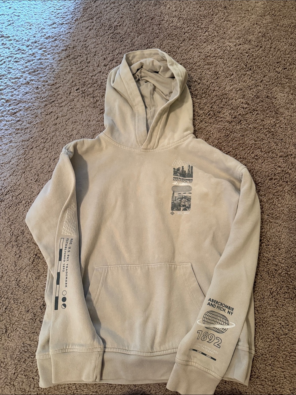 Abercrombie & Fitch boys Beige Graphic Hoodie